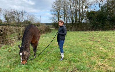 Suite de visite en Normandie